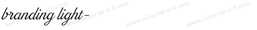 branding light字体转换
